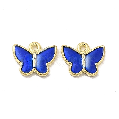 Alloy Enamel Charms PALLOY-I217-06G-1