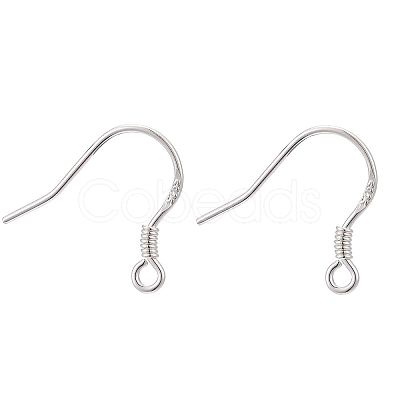 925 Sterling Silver Earring Hooks STER-E046-01S-1