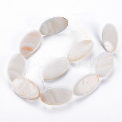Natural Freshwater Shell Beads Strands SHEL-N026-169-1
