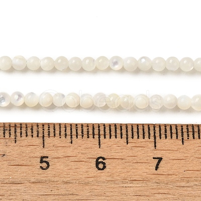 Natural White Shell Beads Strands SHEL-M021-03B-1