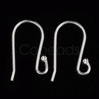 925 Sterling Silver Earring Hooks STER-G011-20-1