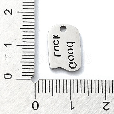 Non-Tarnish 304 Stainless Steel Charms X-STAS-C097-41P-1