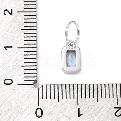 925 Sterling Silver Cubic Zirconia Charms STER-NH0014-01P-03-1