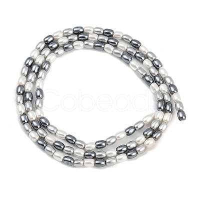 Electroplated Shell Pearl Beads Strands BSHE-H113-06A-02-1