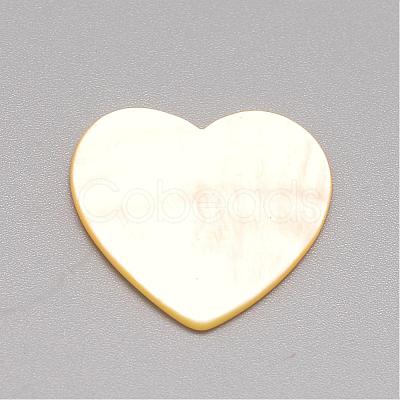 Natural White Shell Mother of Pearl Shell Cabochons SSHEL-R041-53-1