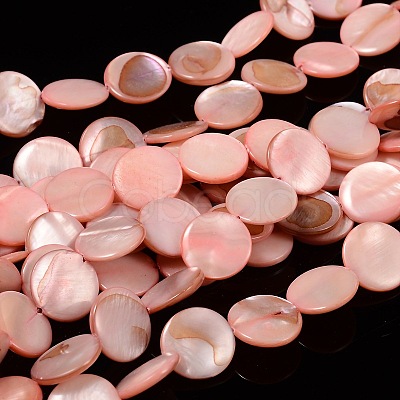 Natural Shell Beads Strands PBB251Y-6-1