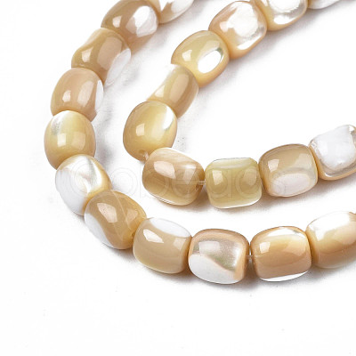 Natural Trochid Shell/Trochus Beads Strands SSHEL-N027-130B-02-1