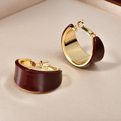 Brass & Acrylic Hoop Earrings FS-WG659A8-02-1
