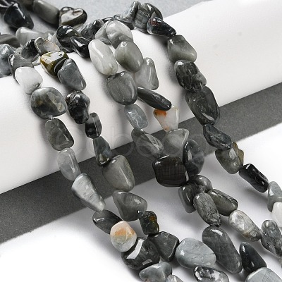 Natural Eagle Eye Stone Beads Strands G-P497-01C-52-1