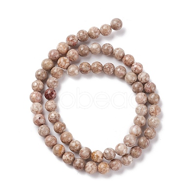 Natural Maifanite/Maifan Stone Beads Strands G-P451-01B-B-1