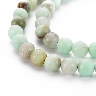 Natural Chrysoprase Beads Strands G-S333-8mm-037-1