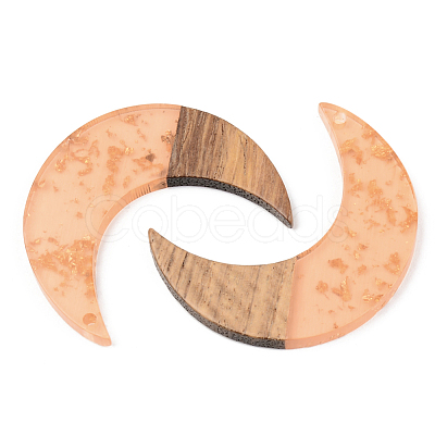 Transparent Resin & Walnut Wood Pendants X-RESI-S389-056A-B04-1