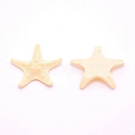 Resin Cabochons LS-RESI-WH0024-64A-1