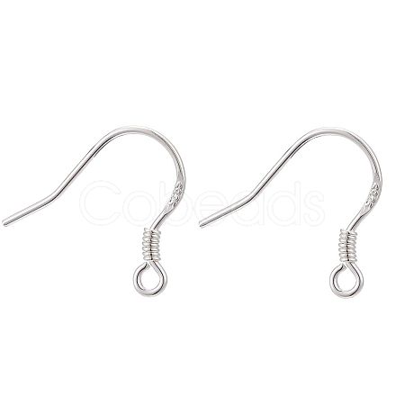 925 Sterling Silver Earring Hooks STER-E046-01S-1