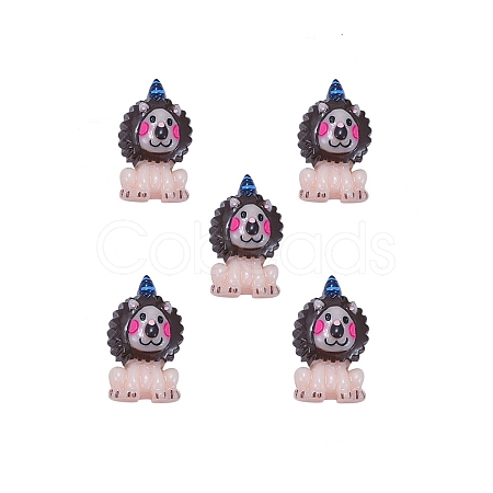 Resin Cabochons RESI-CJC0003-56-1