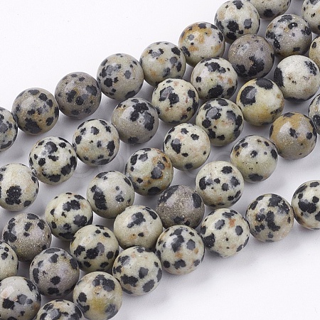 Natural Dalmatian Jasper Stone Bead Strands G-R193-14-8mm-1