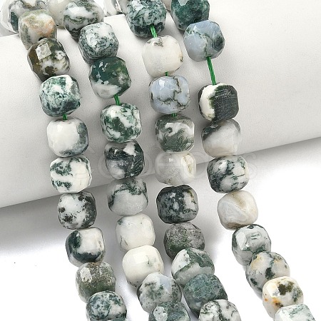 Natural Tree Agate Beads Strands G-C267-A18-1