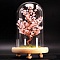 Natural Rose Quartz Display Decoration, with Brass Wire, for Home Desk Decorations, Tree of Life Cloche Bell Jar, 80x130mm