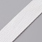 Flat Polyester Cord/Band, Webbing Garment Sewing Accessories, Light Khaki, 25mm, about 5yard/roll