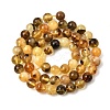 Natural Amber Beads Strands G-K376-H01-01-3