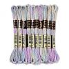 10 Skeins 6-Ply Polyester Embroidery Floss OCOR-K006-A01-1