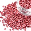 8/0 Glass Seed Beads SEED-A012-3mm-125-1