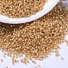 MIYUKI Delica Beads SEED-X0054-DB2171-1