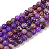 Dyed Natural Regalite/Imperial Jasper/Sea Sediment Jasper Beads Strands G-B124-C04-09-1
