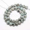 Natural Sesame Jasper/Kiwi Jasper Beads Strands G-L147-4mm-01-2