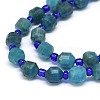 Natural Apatite Beads Strands G-O201B-04-3