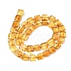 Natural Amber Beads Strands G-C260-A01-03-3