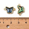 Natural Paua Shell Butterfly Connector Charms KK-G538-39G-3