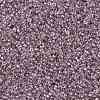TOHO Round Seed Beads SEED-JPTR15-0110-2