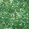 Two Cut Glass Seed Beads CSDB167-2
