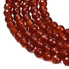 Natural Carnelian Beads Strands G-C280-B10-6mm-4