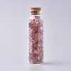 Glass Wishing Bottle DJEW-L013-A05-1