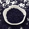 Baking Paint Glass Seed Beads X-SEED-S042-05B-79-2