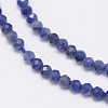 Natural Sodalite Bead Strands G-G936-2mm-19-3