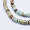 Natural Aqua Terra Jasper Beads Strands G-E444-18-3