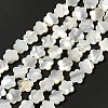 Natural White Shell Beads Strands SHEL-F003-07-2