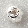 925 Sterling Silver Beads STER-WH0019-16A-2
