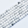 Natural Howlite Beads Strands X-G-P353-01-4mm-1