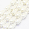 Shell Pearl Beads Strands BSHE-P024-06-1