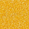 MIYUKI Delica Beads SEED-X0054-DB1562-3