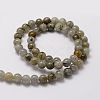 Natural Labradorite Round Beads Strands G-E329-6mm-48-2