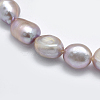 Natural Cultured Freshwater Pearl Beads Strands X-PEAR-K003-19B-3