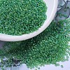 MIYUKI Round Rocailles Beads X-SEED-G007-RR0179L-1