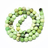 Natural Serpentine Beads Strands G-R485-11-6mm-2