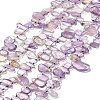 Natural Amethyst Beads Strands G-M408-E01-1