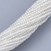 Electroplate Glass Beads Strands EGLA-F149-AB-01-2